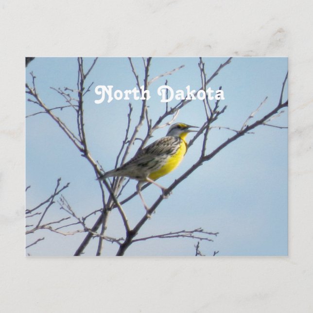 Postal Dakota del Norte (Anverso)