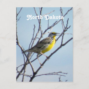 Postal Dakota del Norte
