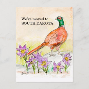 Postal Dakota del Sur