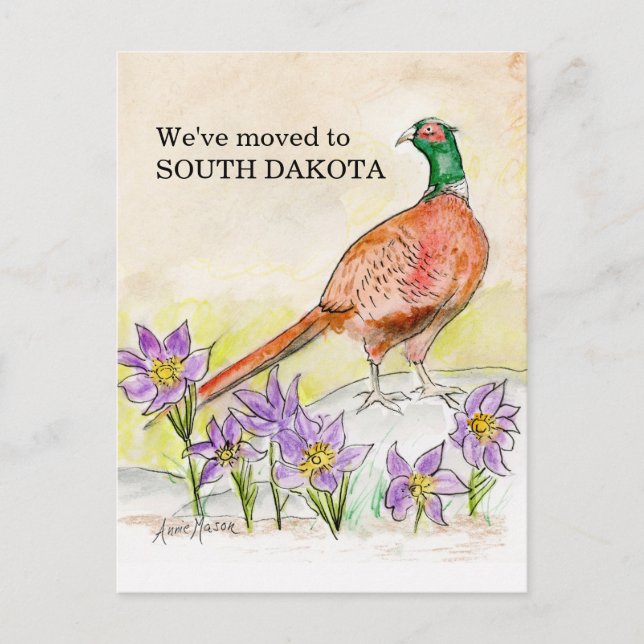 Postal Dakota del Sur (Anverso)