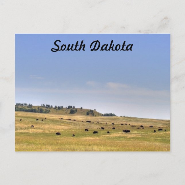 Postal Dakota del Sur (Anverso)