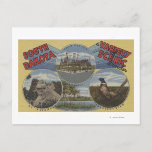 Postal Dakota del Sur - Variedad de Maravilla Escénica