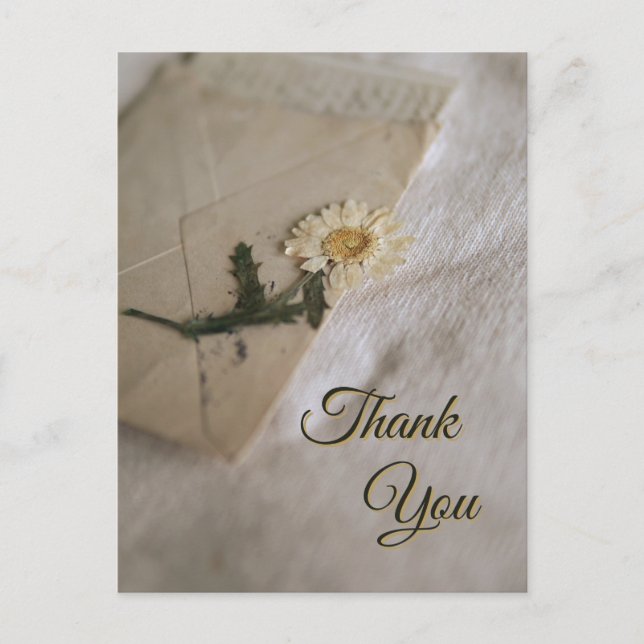 Postal Dalia Blanca y Amarilla Vintage Carta (Anverso)