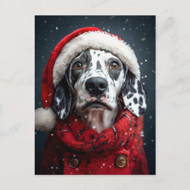 Postal Dalmacia festiva en Santa Attire (Anverso)