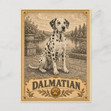 Dálmata, perro vintage de herencia