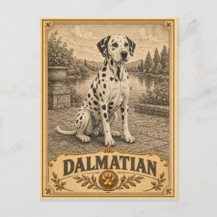 Postal Dálmata, perro vintage de herencia