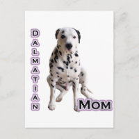 Dalmatia Mom 4