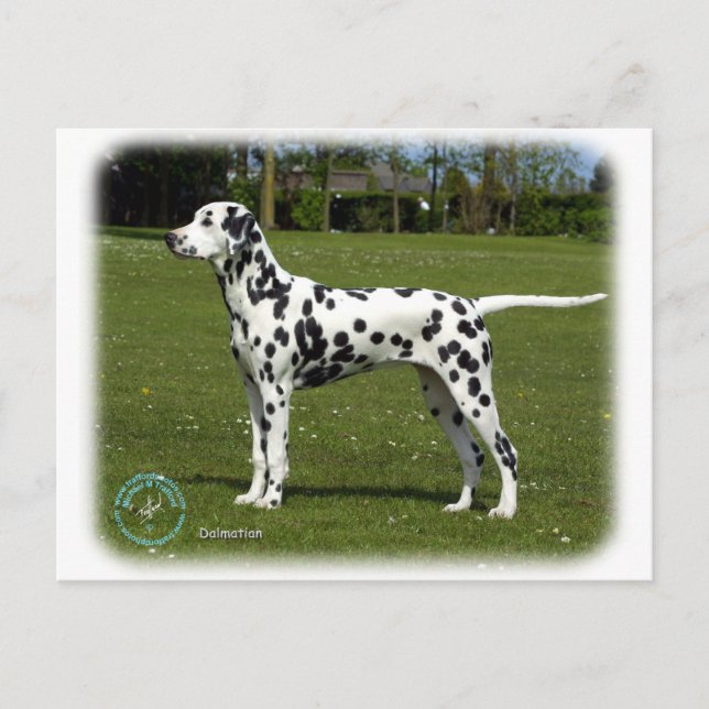 Postal Dalmatian 9T085D-119 (Anverso)
