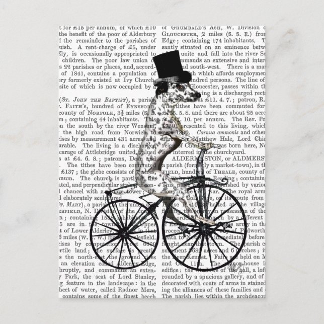 Postal Dalmatian en bicicleta 2 (Anverso)