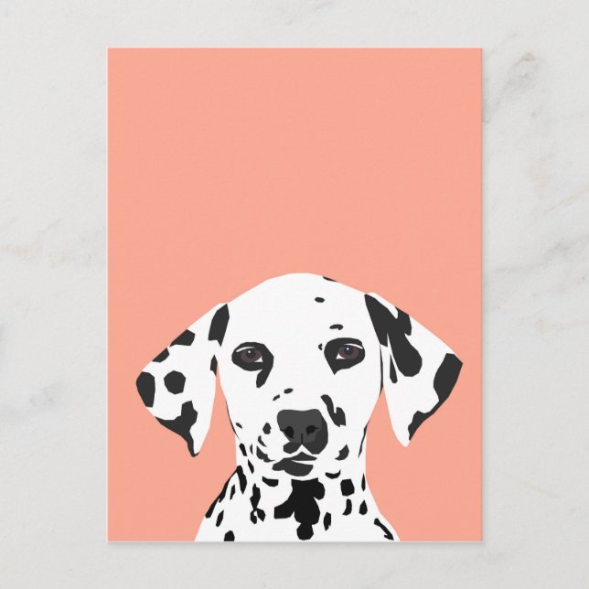 Postal Dalmatian - Ilustracion de perro para los amantes  (Anverso)