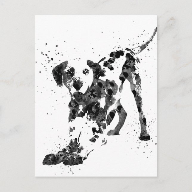 Postal Dalmatian, perro dálmata, acuarela dálmata (Anverso)