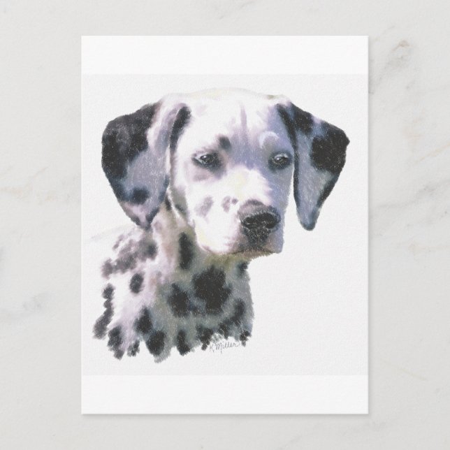 Postal Dalmatian Puppy (Anverso)