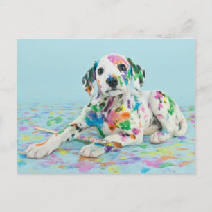Postal Dalmatian Puppy