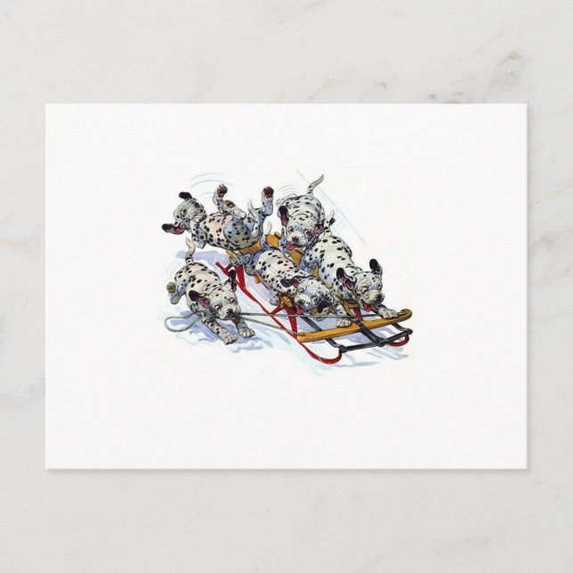 Postal Dalmatian Pups (Anverso)