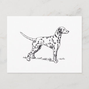 Postal Dalmatiano