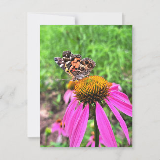 Postal Dama Americana