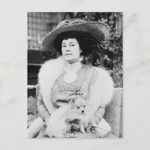 Postal Dama Pomerana