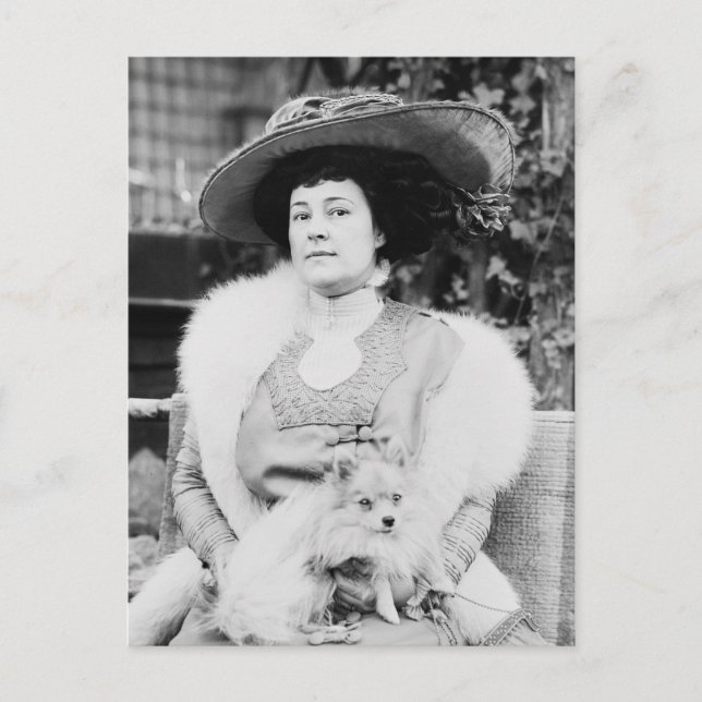 Postal Dama Pomerana (Anverso)
