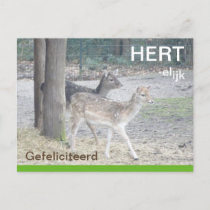 Postal Damherten HERTelijk Gefeliciteerd Briefkaart