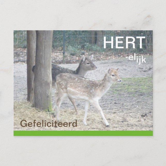 Postal Damherten HERTelijk Gefeliciteerd Briefkaart (Anverso)