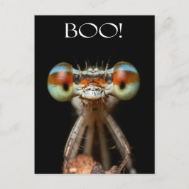Postal Damselfly de ojos beady