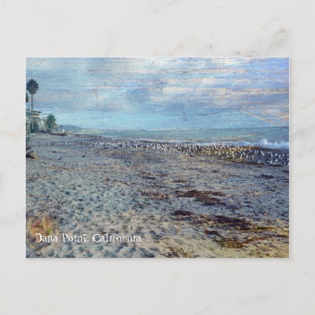 Postal Dana Point, California (Anverso)