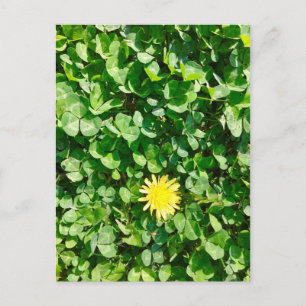 Postal dandelia