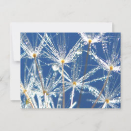 Postal Dandelion Con La Naturaleza Jugosa De Los Dew