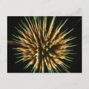 Postal Dandelion Fire
