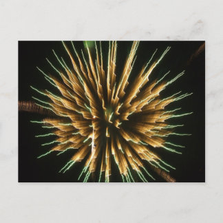 Postal Dandelion Fire