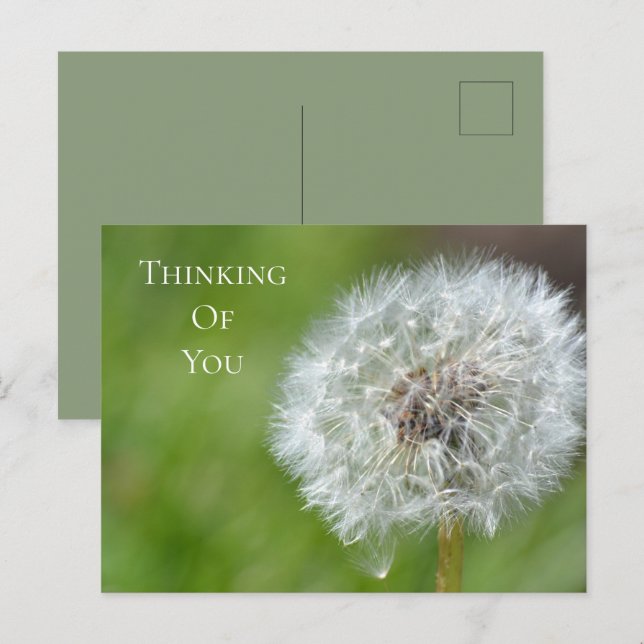 Postal Dandelion Flower Thinking (Anverso / Reverso)
