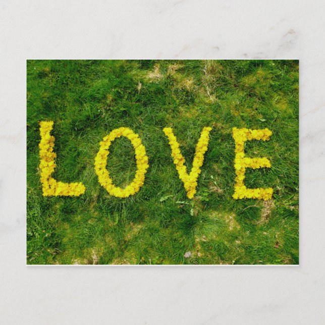 Postal Dandelion Love (Anverso)