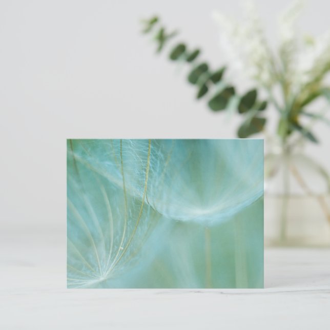 Postal Dandelion macro (Anverso de pie)