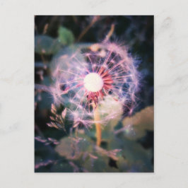 Postal Dandelion Magic