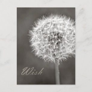 Postal Dandelion Wish