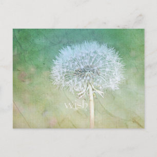Postal Dandelion Wish Dreamy Design