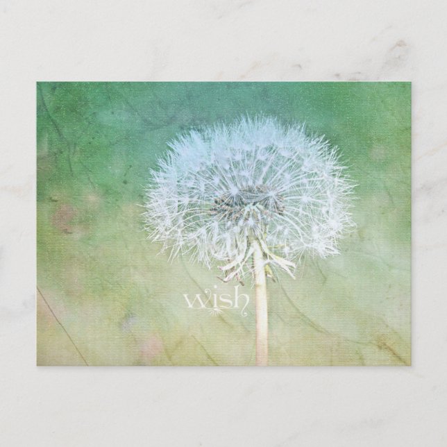 Postal Dandelion Wish Dreamy Design (Anverso)