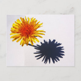 Postal Dandelion y Shadow pcnm