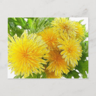 Postal ¡Dandelions!