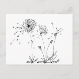 Postal Dandelions