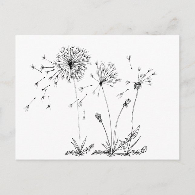 Postal Dandelions (Anverso)