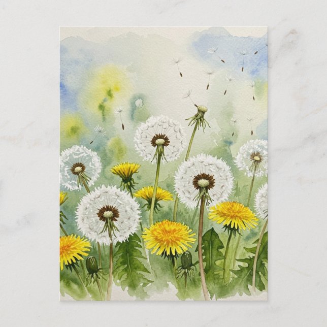 Postal Dandelions Postcard (Anverso)