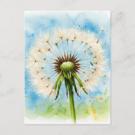 Postal Dandelions Postcard