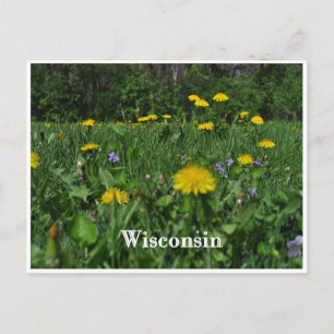 Postal Dandelions & Violets