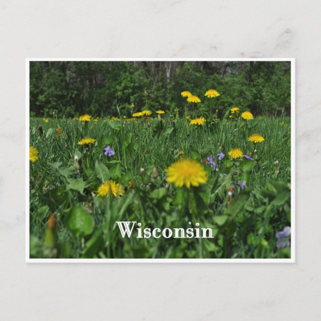 Postal Dandelions & Violets (Anverso)