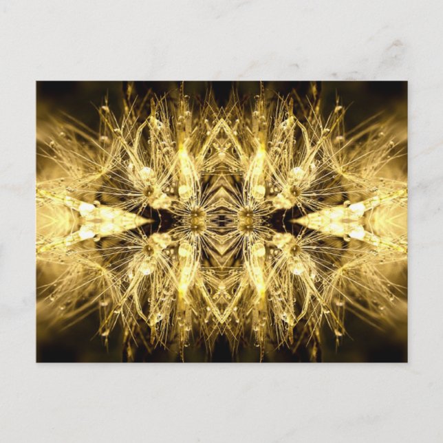 Postal dandiana Postcard (Anverso)