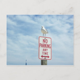 Postal Dando El Rótulo De No Estacionar El Pájaro