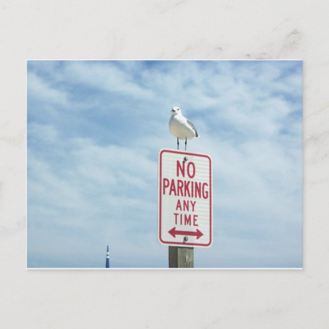 Postal Dando El Rótulo De No Estacionar El Pájaro (Anverso)