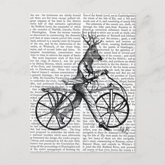 Postal Dandy Deer en bicicleta vieja (Anverso)
