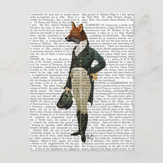 Postal Dandy Fox Full 2 (Anverso)